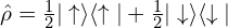 \hat{\rho}=\frac{1}{2}|\uparrow\rangle\langle\uparrow|+\frac{1}{2}|\downarrow\rangle\langle\downarrow|