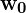 \mathbf{w_{0}}