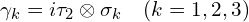 \gamma_k=i \tau_2 \otimes\sigma_k \quad (k=1, 2, 3)