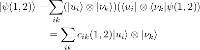 \begin{aligned}|\psi(1,2)\rangle=&\sum_{ik}(|u_i\rangle \otimes |\nu_k\rangle)(\langle u_i | \otimes \langle\nu_k |\psi(1,2)\rangle\\&=\sum_{ik} c_{ik}(1,2)  |u_i\rangle \otimes |\nu_k\rangle\end{aligned}